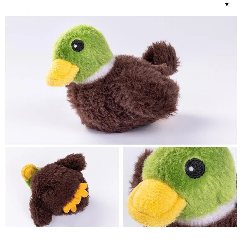 CatCatch - Interactive Self-Flying Bird Toy